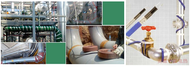 成人在线免费看片安裝