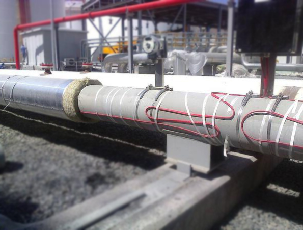 成人在线免费看片伴熱管