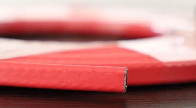 成人在线免费看片伴熱帶